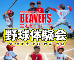 【4年生以下】野球体験会開催します！